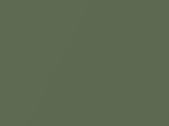 Longchamp Green Metallic touch-up paint for Toyota, code 1677, 1971