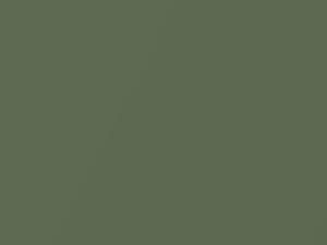 Longchamp Green Metallic touch-up paint for Toyota, code 1677, 1971