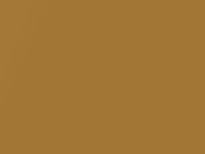 Ginger Metallic touch-up paint for Buick, code 4570, 53, 57, WA4570, 1974