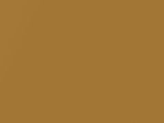 Ginger Metallic touch-up paint for Buick, code 4570, 53, 57, WA4570, 1974