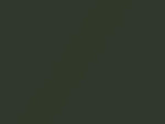 Hunter Green touch-up paint for Amc, code C9, 1972