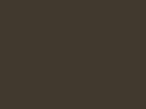 Tan Beige touch-up paint for Volkswagen, code L479, 1964