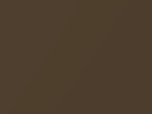 Moroccan Brown Metallic touch-up paint for Amc, code P94, 1970