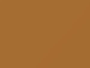 Autumn Gold touch-up paint for Amc, code 1D, 1981