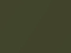 Green Spice Metallic touch-up paint for Toyota, code 625, 1973