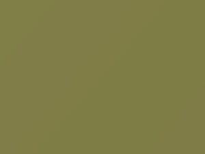 Pampas Green touch-up paint for Volkswagen, code L384, 1962