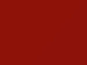 BMW Henna Red touch up paint 52 1987 All Models