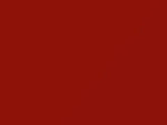BMW Henna Red touch up paint 52 1984 All Models