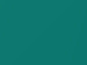 BMW Turquoise Metallic touch up paint 65 1974 All Models