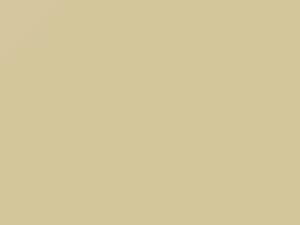 Alcan White/Lotus White touch-up paint for Volkswagen, code L282, 1969