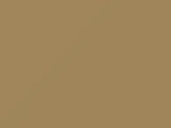 Cashmere Beige touch-up paint for Subaru, code 38, 1980
