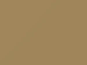 Cashmere Beige touch-up paint for Subaru, code 38, 1980