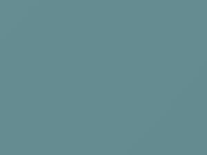 Wedgewood Blue touch-up paint for Ford, code C, M1012A, 1959