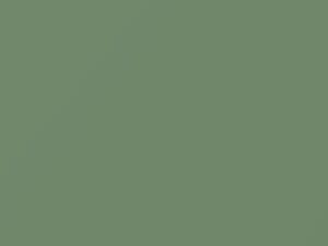Turf Green touch-up paint for Dodge, code C3269ES, DT7567, 1961
