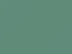 Alameda Aqua touch-up paint for Amc, code P36A, 1967