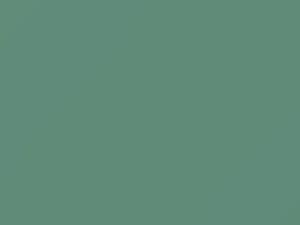 Alameda Aqua touch-up paint for Amc, code P36A, 1967