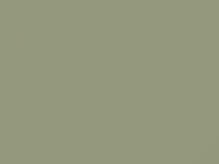 Light Gray touch-up paint for Fiat, code 604, 1971