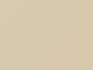 Polar White touch-up paint for Saab, code W1, 1973