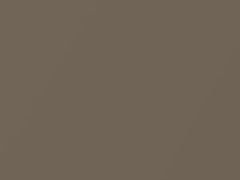 Seaside Beige Metallic touch-up paint for Isuzu, code 827, U801P9010, 1989