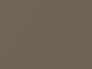 Seaside Beige Metallic touch-up paint for Isuzu, code 827, U801P9010, 1989