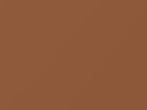 Caramel Beige touch-up paint for Porsche, code 499, D9, L499, 1995