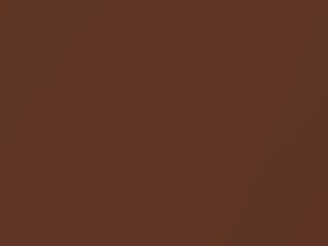 Chestnut Bronze Metallic touch-up paint for Ford Thunderbird, code M3347A, Y, 1970