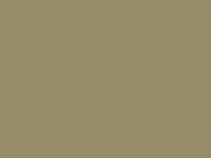 Safari Beige touch-up paint for Volkswagen, code L563, 1966