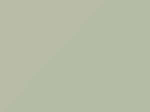 Mercedes-Benz Papyrus White touch up paint 717 2000 All Models