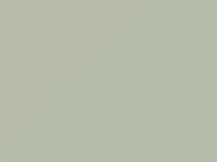 Mercedes-Benz Papyrus White touch up paint 717 2000 All Models