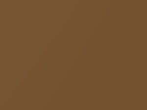 Alpaca Brown Metallic touch-up paint for Amc, code 9A, 1980