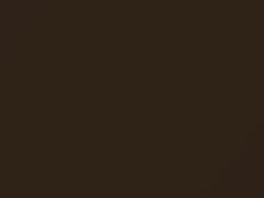 Burnished Brown Metallic touch-up paint for Buick, code 3923, 61, WA3923, 1969