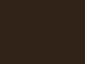 Burnished Brown Metallic touch-up paint for Buick, code 3923, 61, WA3923, 1969
