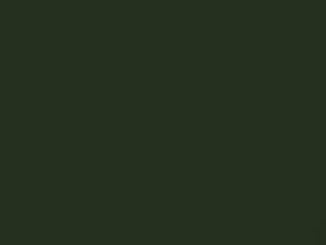 Colorado Green Metallic touch-up paint for Honda, code G48M, 1977