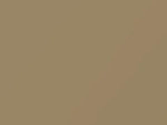 Beige touch-up paint for Datsun, code 125, 1973