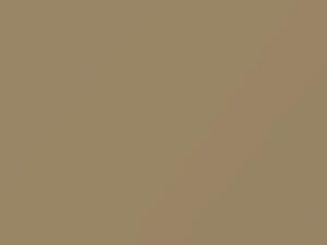 Beige touch-up paint for Datsun, code 125, 1973