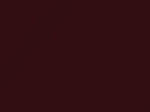 Mercedes-Benz Medium Red touch up paint 3-516 1963 All Models