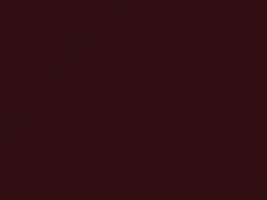 Mercedes-Benz Medium Red touch up paint 3-516 1963 All Models