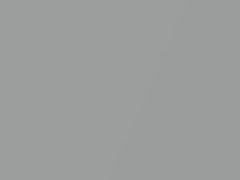 Silver Metallic touch-up paint for Fiat, code 656, 1983
