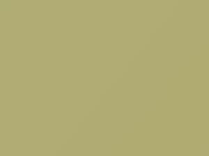 Panama Yellow touch-up paint for Toyota, code 1412, 1971