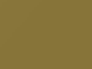 Arizona Yellow touch-up paint for Volkswagen, code L10H, 1969