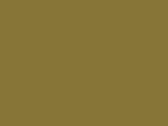 Arizona Yellow touch-up paint for Volkswagen, code L10H, 1969