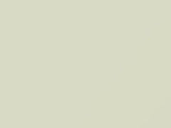 White touch-up paint for Datsun, code 18, 1974