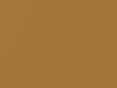 BMW Ceylon Gold Metallic touch up paint 203 1973 All Models
