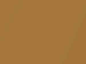 BMW Ceylon Gold Metallic touch up paint 203 1973 All Models