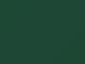 Mercedes-Benz Sea Green touch up paint 824 1963 All Models