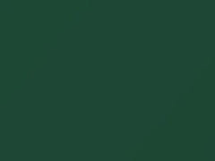 Mercedes-Benz Sea Green touch up paint 824 1961 All Models
