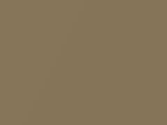 Venus Gold Metallic touch-up paint for Toyota, code 1336, 1969