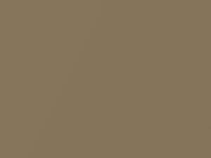 Venus Gold Metallic touch-up paint for Toyota, code 1336, 1969