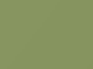 Willow Green touch-up paint for Ford, code J, M30J747, 1957