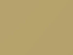 Inca Gold touch-up paint for Ford, code M30J641, Y, 1957